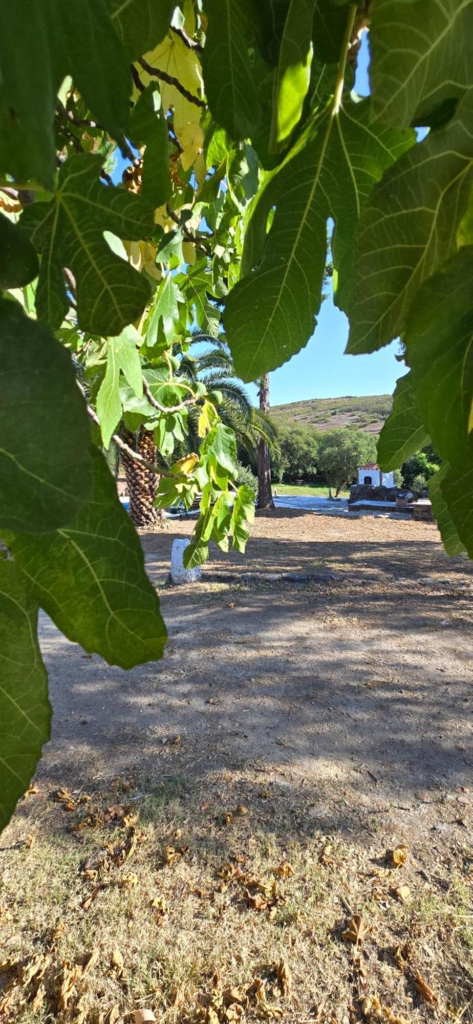 Quinta Da Utopia Castelo de Vide Exterior photo